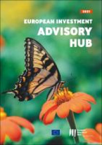 European Investment Advisory Hub Report 2021