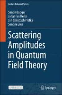 Scattering Amplitudes in Quantum Field Theory