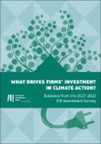 What drives firms' investment in climate action?