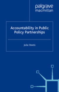 Accountability in Public Policy Partnerships