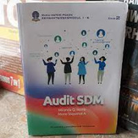 Audit SDM