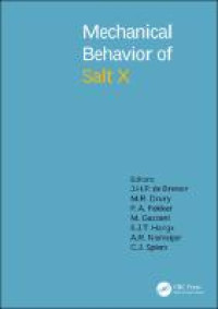 The Mechanical Behavior of Salt X